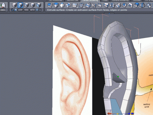 Come fare un modello 3D dell'orecchio umano