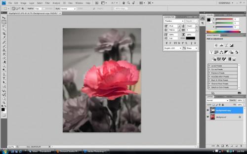 Come modificare il colore di qualcosa in una foto con Photoshop